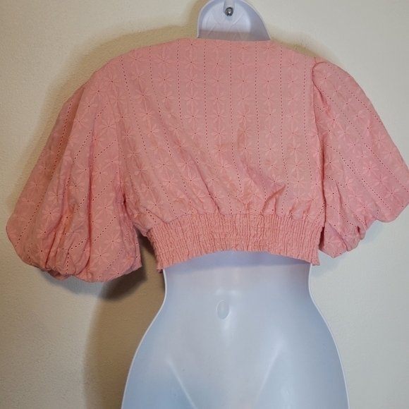 Chicwish pink cottagecore crop top w/puffy sleeves and floral embroidery - Picture 4 of 7